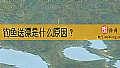 钓鱼送漂是什么原因?