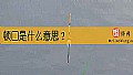 《顿口是什么意思？》封面图