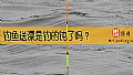 《钓鱼送漂是钓的钝了吗？》封面图