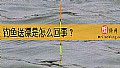 《钓鱼送漂是怎么回事？》封面图