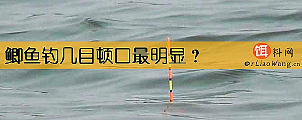 鲫鱼钓几目顿口最明显