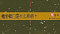 《鲤鱼顿口是什么样的？》封面图