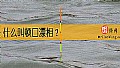 《什么叫顿口漂相？》封面图