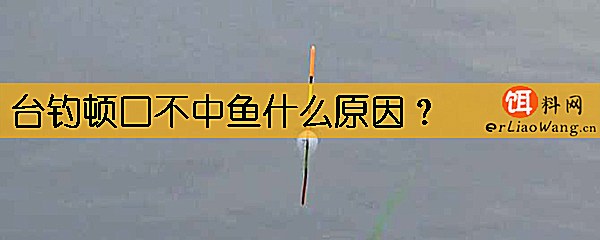 台钓顿口不中鱼什么原因