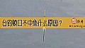 台钓顿口不中鱼什么原因?