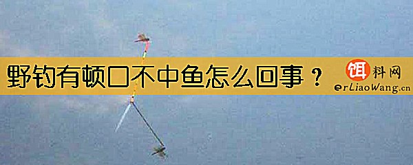 野钓有顿口不中鱼怎么回事