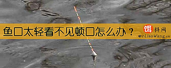 鱼口太轻看不见顿口怎么办