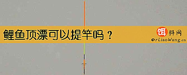 鲤鱼顶漂可以提竿吗