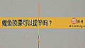 《鲤鱼顶漂可以提竿吗？》封面图