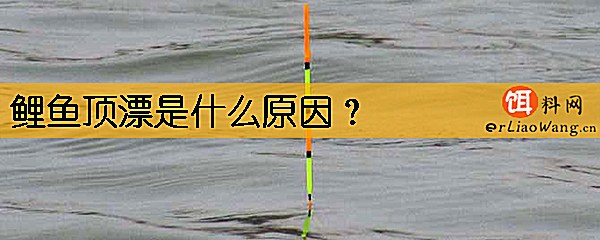 鲤鱼顶漂是什么原因