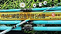 《市场口碑最好鱼竿排名有哪些?》封面图