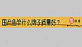 《国产鱼竿什么牌子质量好?》封面图