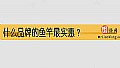 《什么品牌的鱼竿最实惠?》封面图