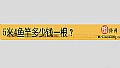 《5米4鱼竿多少钱一根？》封面图