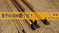 《鱼竿6H和8H哪个好？》封面图