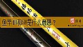 《鱼竿4H和5H是什么意思？》封面图