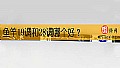 《鱼竿19调和28调哪个好？》封面图