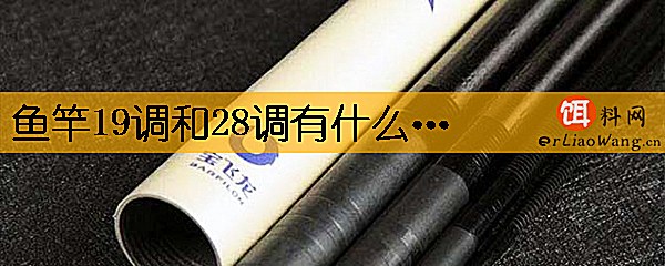 鱼竿19调和28调有什么区别