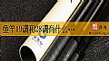 《鱼竿19调和28调有什么区别？》封面图