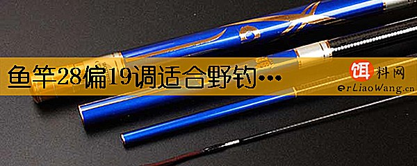 鱼竿28偏19调适合野钓吗