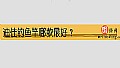 《迪佳钓鱼竿哪款最好?》封面图