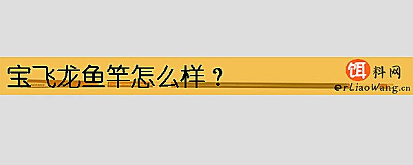 宝飞龙鱼竿怎么样