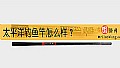 太平洋钓鱼竿怎么样?