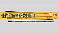 《佳钓尼鱼竿哪款好用？》封面图