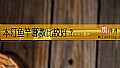《本汀鱼竿哪款比较好？》封面图