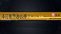 《本汀鱼竿怎么样？》封面图