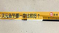 天元鱼竿哪一款比较好？