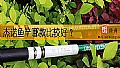 《杰诺鱼竿哪款比较好？》封面图