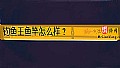 《钓鱼王鱼竿怎么样？》封面图