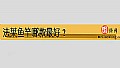 《法莱鱼竿哪款最好?》封面图
