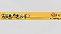 《法莱鱼竿怎么样?》封面图