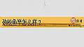 《劲松鱼竿怎么样?》封面图