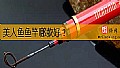 《美人鱼鱼竿哪款好?》封面图