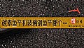 《碳素鱼竿和玻璃钢鱼竿哪个容易断？》封面图