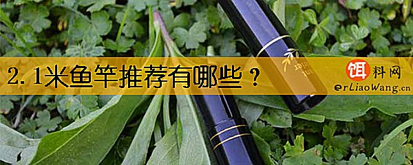 2.1米鱼竿推荐有哪些