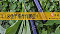 《2.1米鱼竿推荐有哪些?》封面图