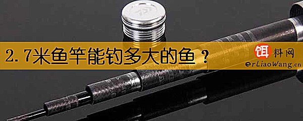 2.7米鱼竿能钓多大的鱼