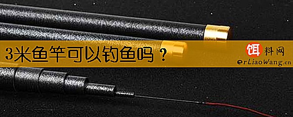 3米鱼竿可以钓鱼吗
