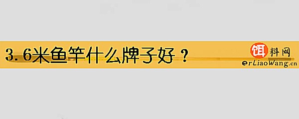 3.6米鱼竿什么牌子好