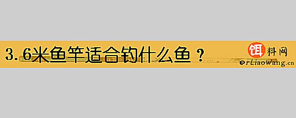 3.6米鱼竿适合钓什么鱼