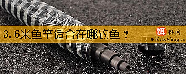 3.6米鱼竿适合在哪钓鱼