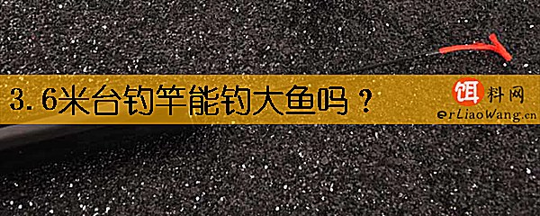 3.6米台钓竿能钓大鱼吗