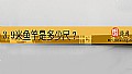 《3.9米鱼竿是多少尺?》封面图