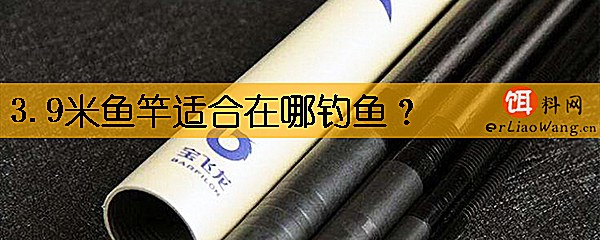 3.9米鱼竿适合在哪钓鱼