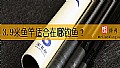 《3.9米鱼竿适合在哪钓鱼?》封面图