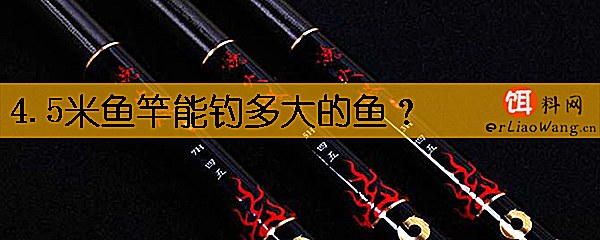 4.5米鱼竿能钓多大的鱼